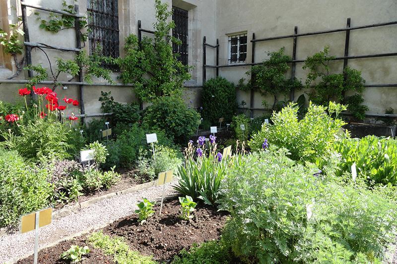 Der Kräutergarten im Kloster Bebenhausen