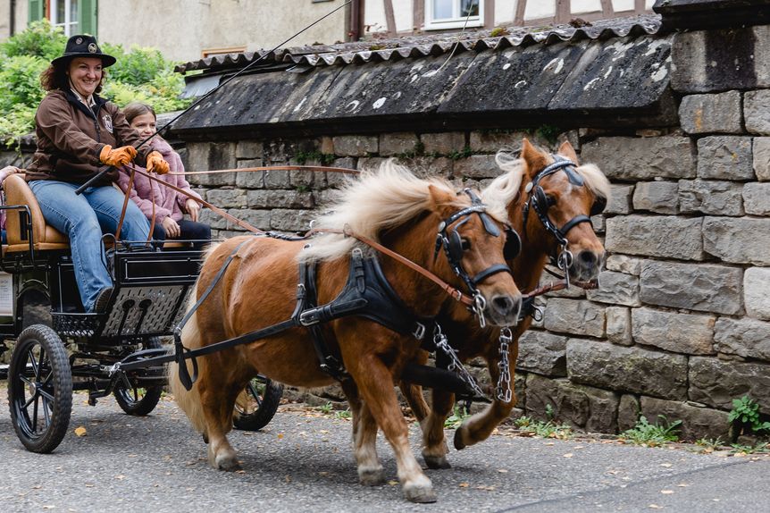 Kloster und Schloss Bebenhausen, Erlebnistag im Kloster, Ponykutsche