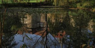 Kloster und Schloss Bebenhausen, Weiher 