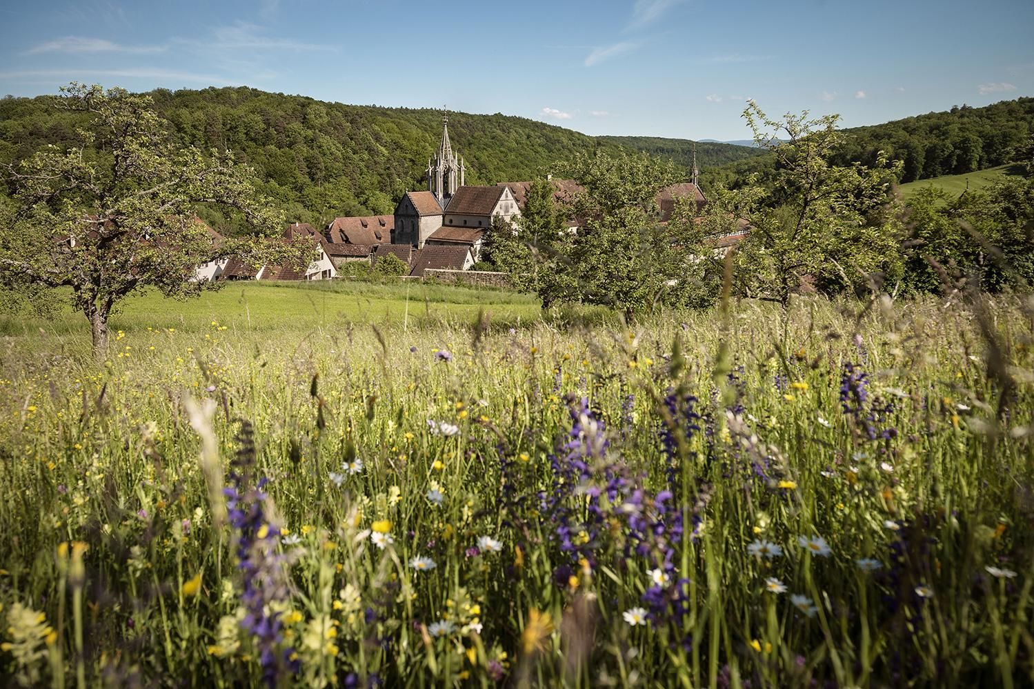 Kloster und Schloss Bebenhausen, Wiese vor dem Kloster und Schloss
