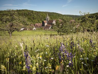 Kloster und Schloss Bebenhausen, Wiese vor dem Kloster und Schloss