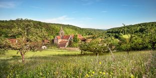 Bebenhausen Monastery in the landscape of Schönbuch